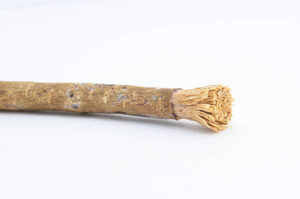 9 Manfaat Siwak dan Cara Menggunakannya dengan Benar