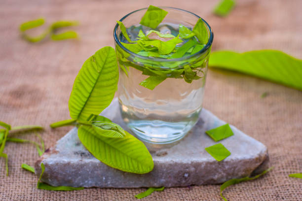 Membuat Obat Kumur dari Rebusan Daun Jambu Biji