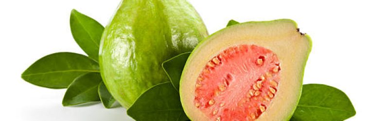 Manfaat Daun Jambu Biji untuk Gigi, Ada Apa Saja?
